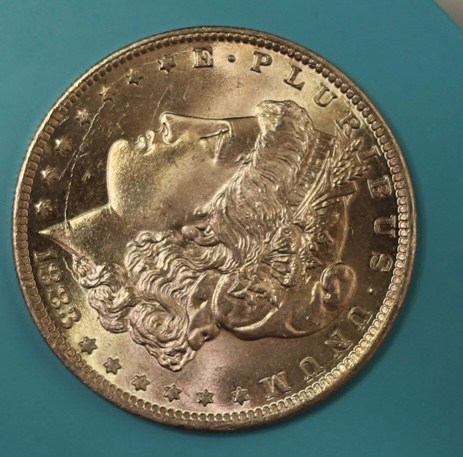 1883-O-Morgan-Dollar-For-Grading