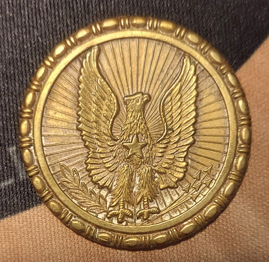 Radiant-Eagle-Saloon-Chip