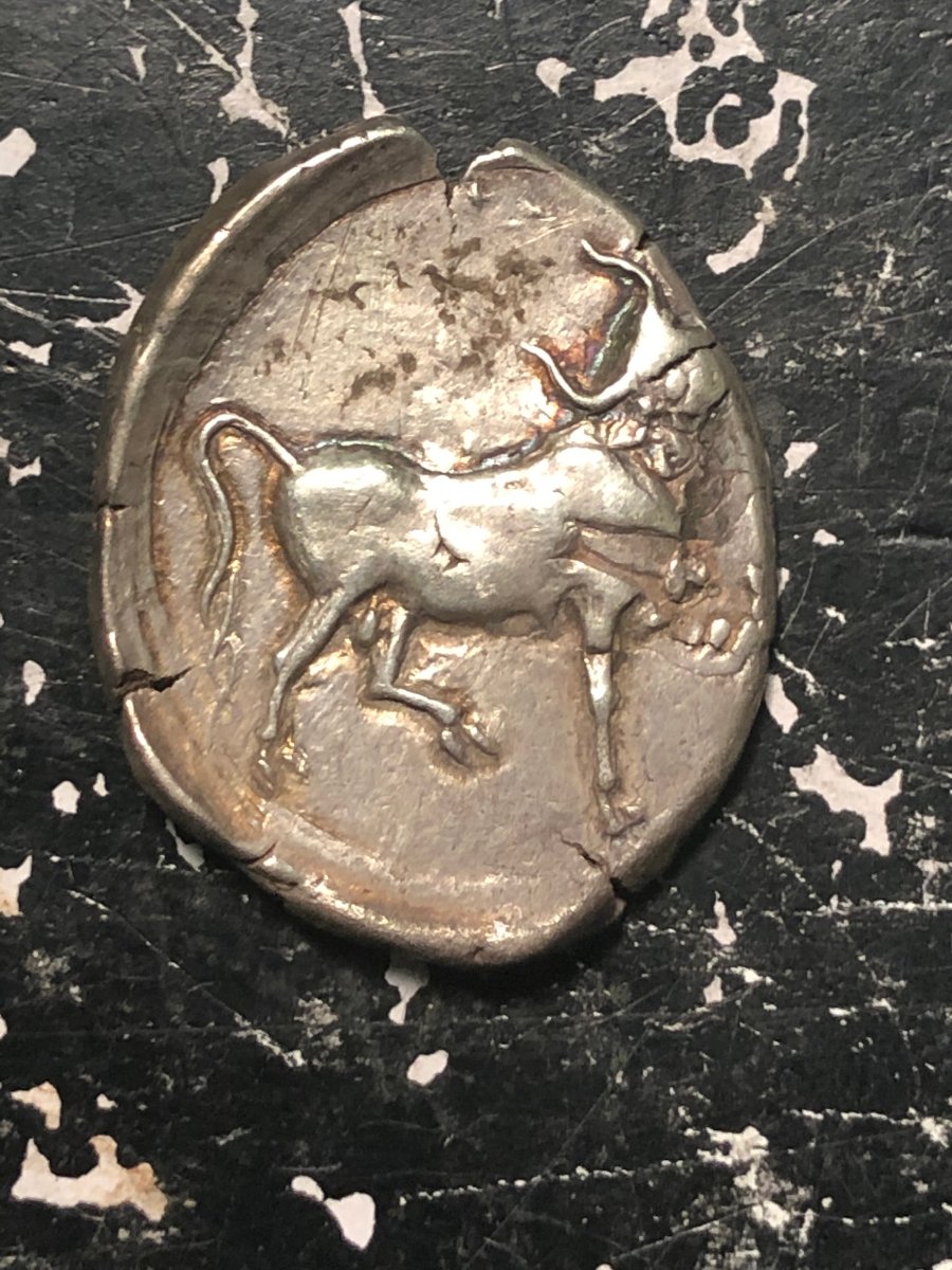 Ancient-Greek?-AR-11.63-Grams-23.8mm/28.9mm