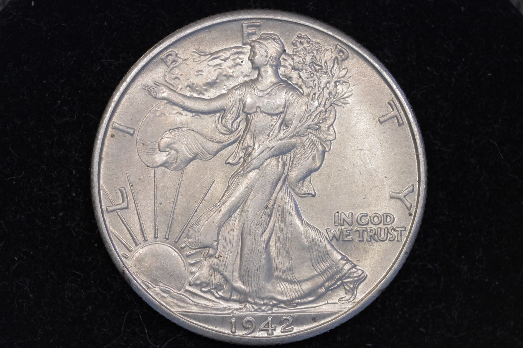 Walking-Liberty-Set-Started-Today---5/21/2022