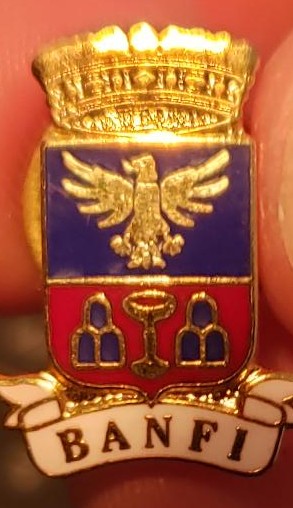 Need-Help-With-An-Italian-Medal-Like-Pin-?