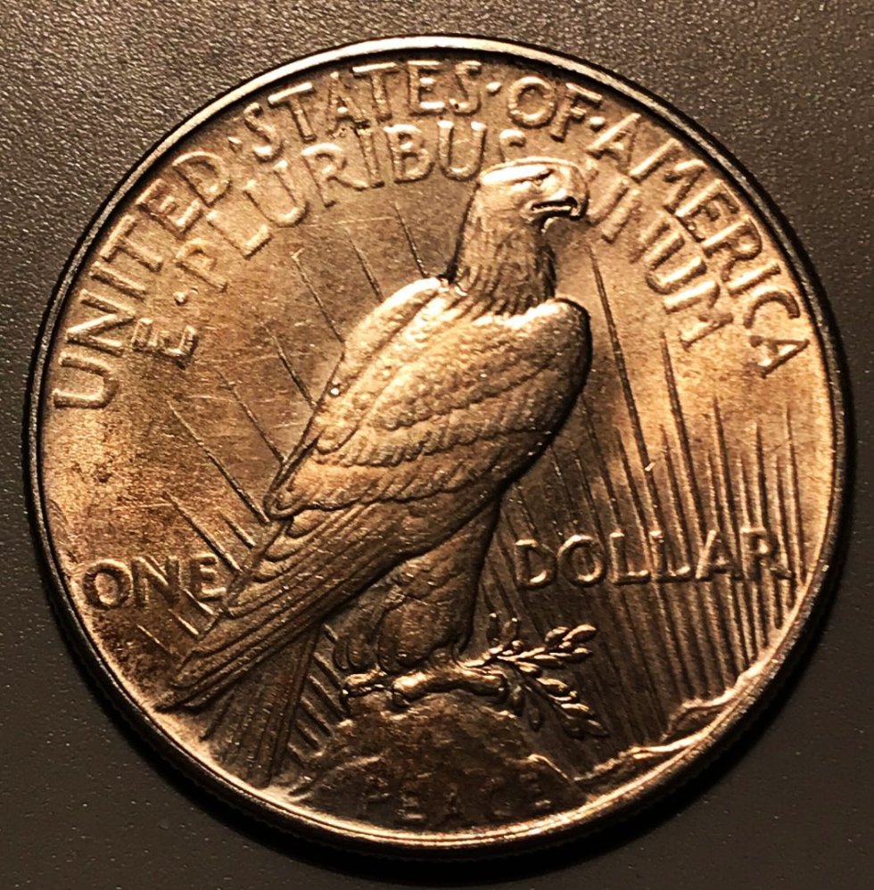 1934-P-Peace-Dollar-Grade