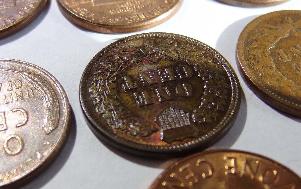 1881-Indian-Head-Cent-Help-Determining-BN-From-RB,-Lots-Of-Pics