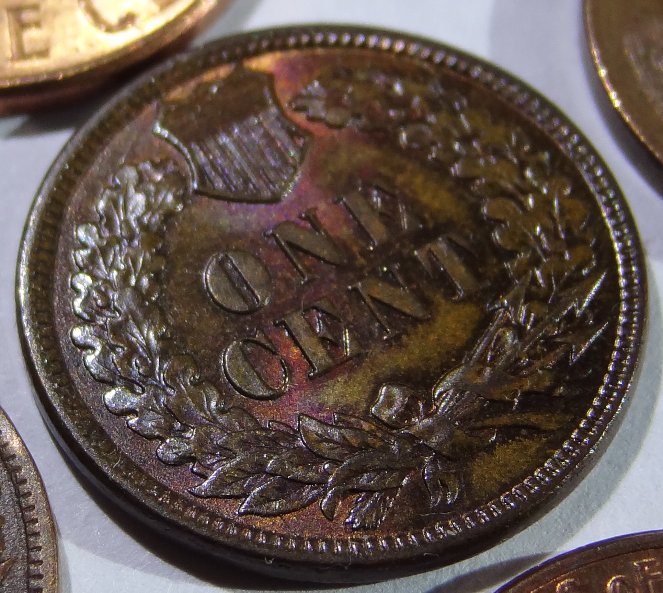 1881-Indian-Head-Cent-Help-Determining-BN-From-RB,-Lots-Of-Pics