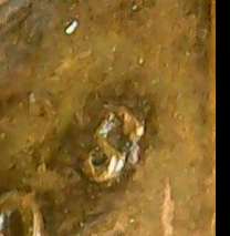 1969-S-Penny-Obverse-Possibly-Two-DD-With-Two-Machine-Die?