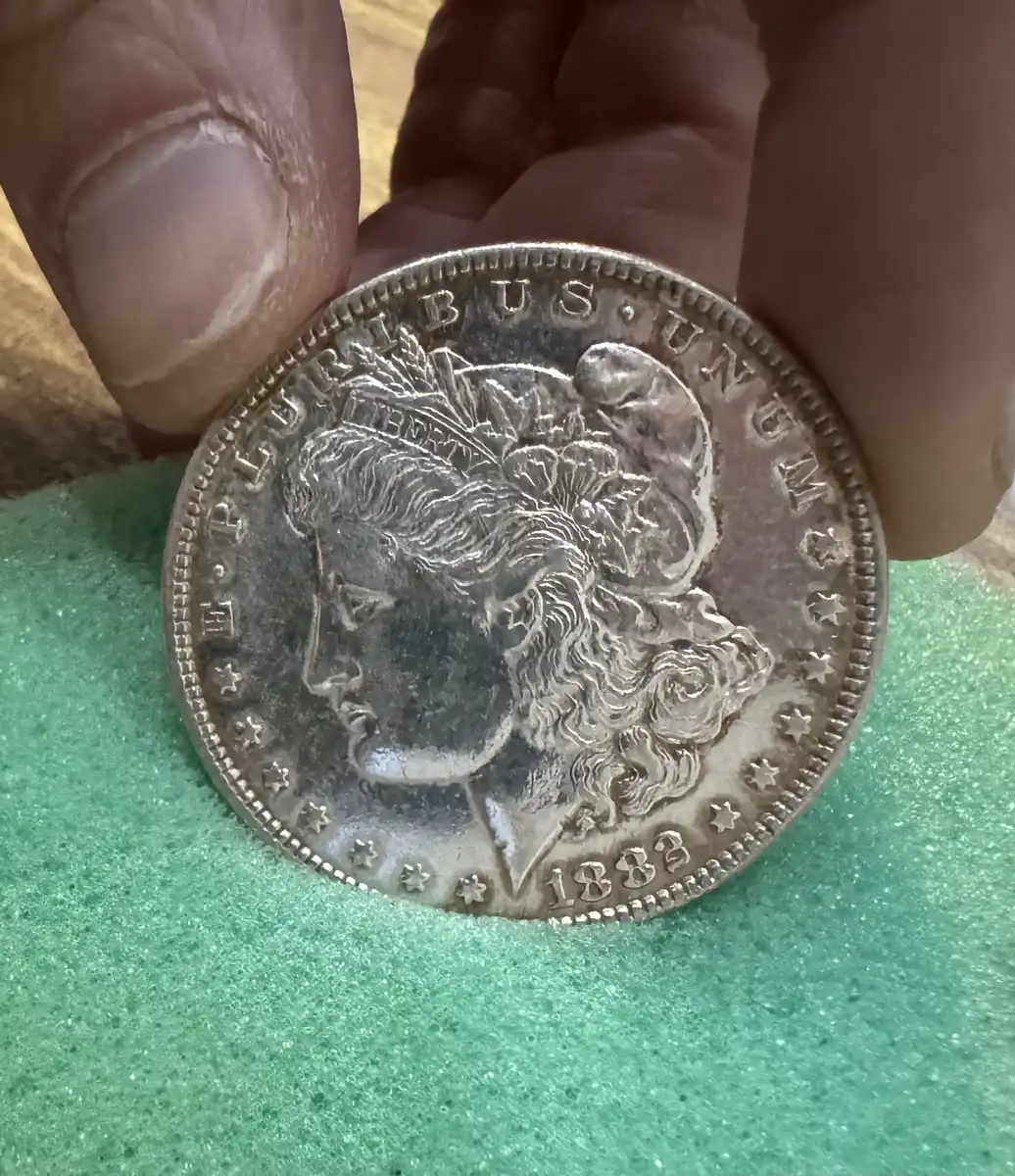 1882-DMPL-Morgan?-Frosted,--How-Would-This-Be-Graded?