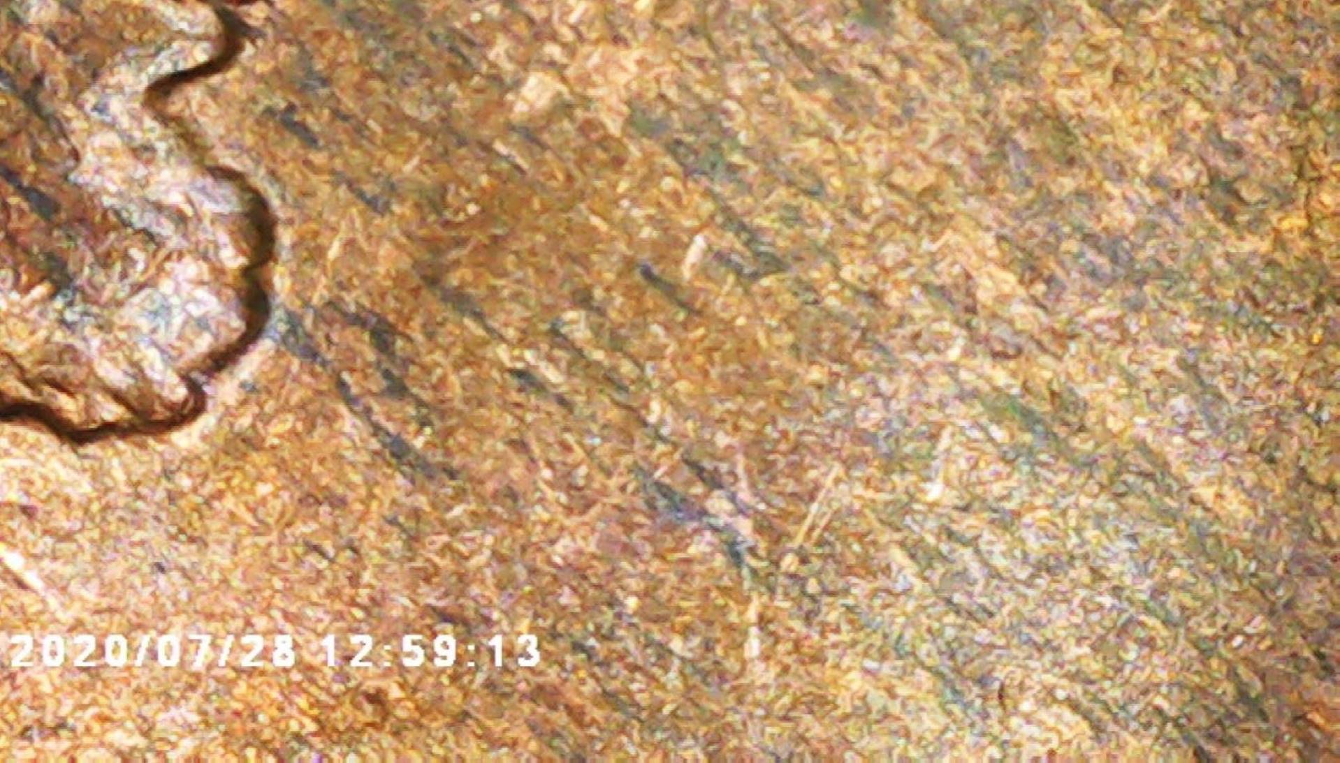 1917-D-Penny-Error-Or-?