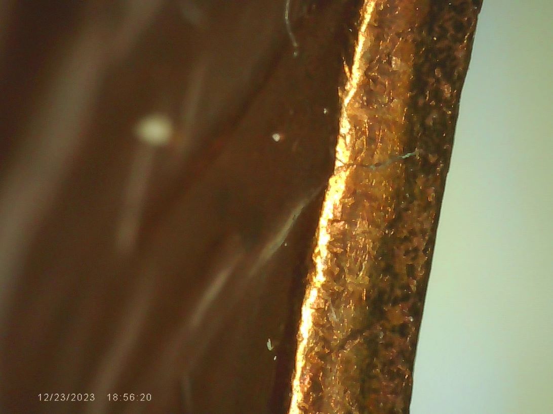 Traded-For-This-Nice-1968-Cent-Clip