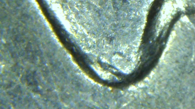 Possibly-A-Doubled-Die-Reverse-On-1966-Washington-Quarter