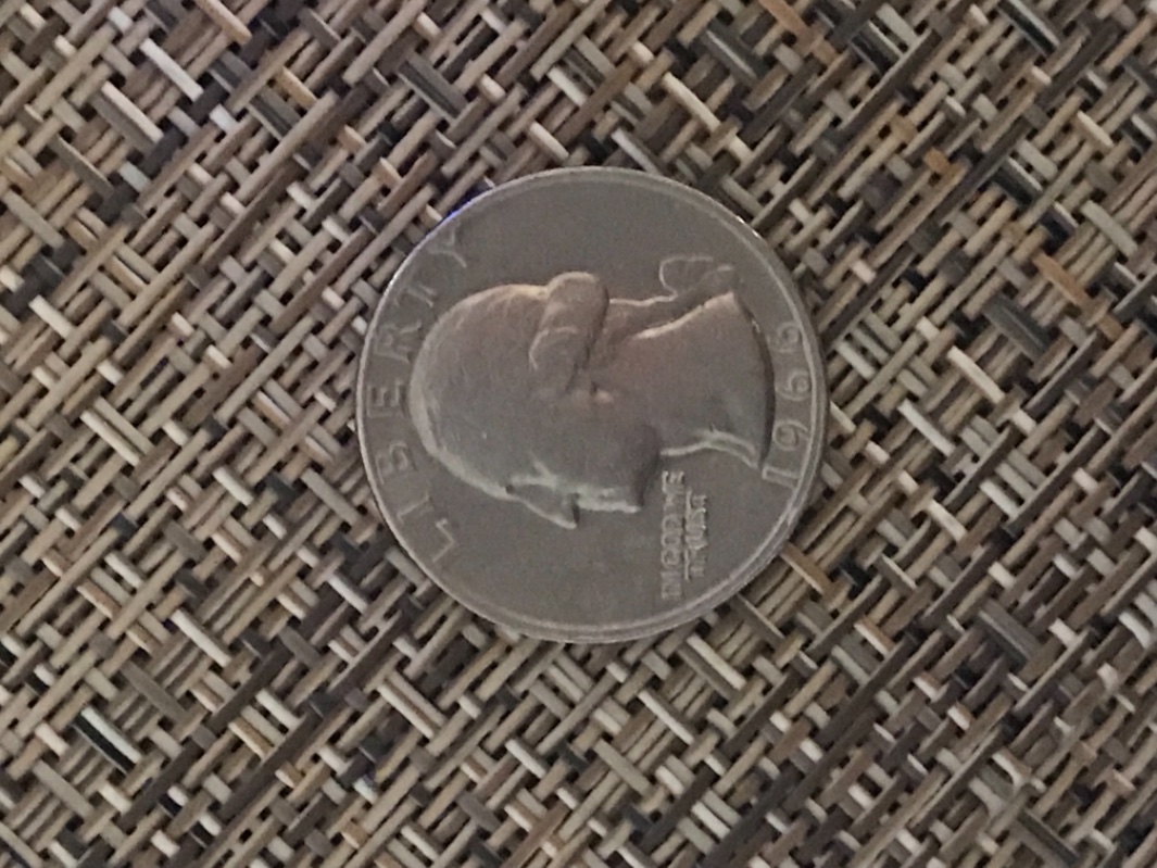 Possibly-A-Doubled-Die-Reverse-On-1966-Washington-Quarter