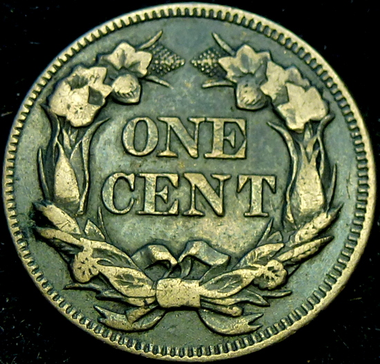 1857-Flying-Eagle-Treated-With-Verdi-Care