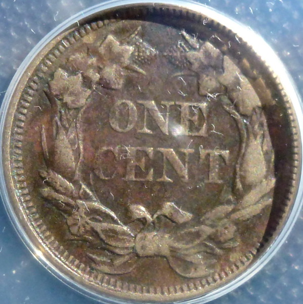 Acetone/Verdi-Care-Restoration-Of-1858/7-Flying-Eagle