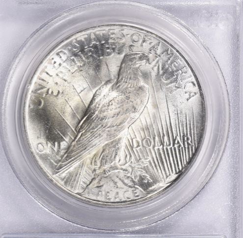 Now-Putting-Together-Peace-Dollar-Set