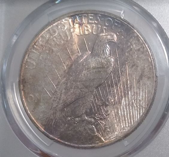 Now-Putting-Together-Peace-Dollar-Set