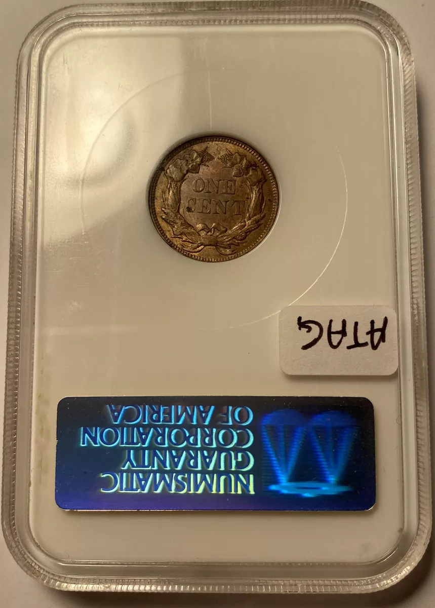 Guess-The-Grade-1857-Fe-Cent