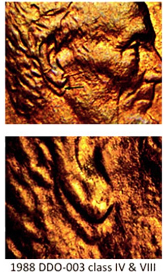 Lincoln-Memorial-Cent-1988-D--Normal-Ear-?-Or-?