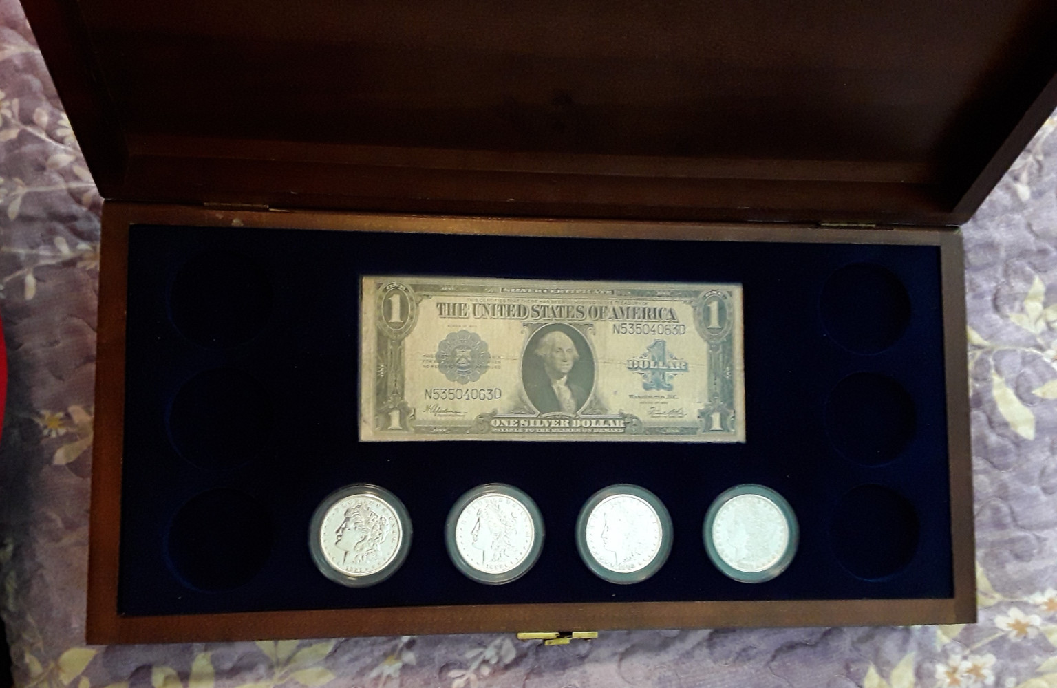 Morgan-Dollars-In-A-Display-Case