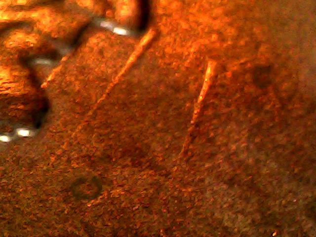 2018-Shield-Cent-Clashed-Die