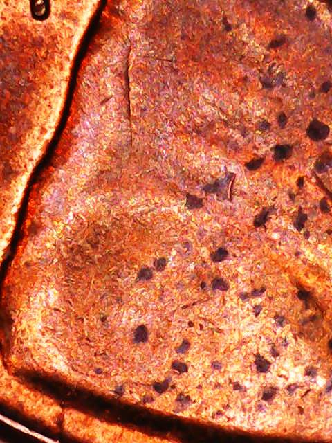 1958-D-Cent--Die-Cracks-Spike-Head-And-Chips-On-Date