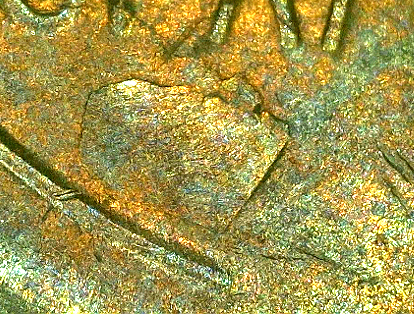 1954-P-Cent-Lamination-Deep-On-Rim