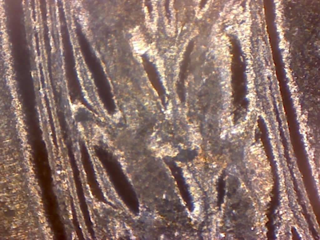 1958-D-Penny-Unc-Bank-Roll-Coin-DDR-Wheat-Stocks-Both-Doubled-L'ing-4-Grade