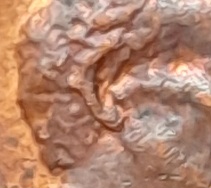 1971-S-Lincoln-Cent-Doubled-Ear?