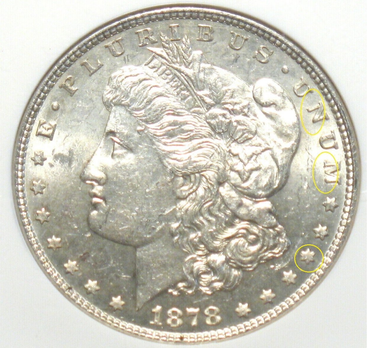 1878-REV-78-7TF-Morgan