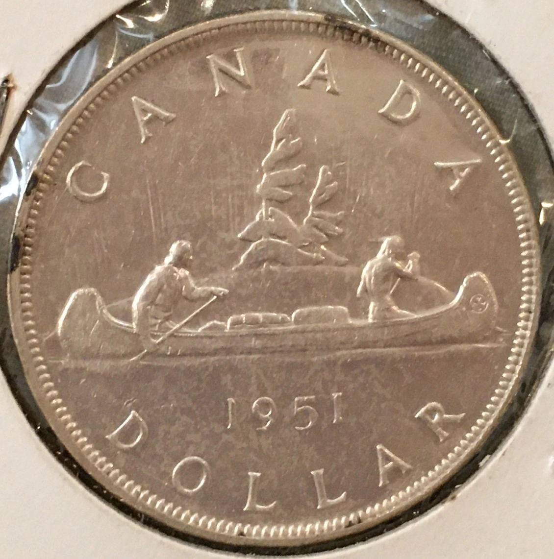 New-Here.-Please-Grade-This-1951-Silver-Dollar