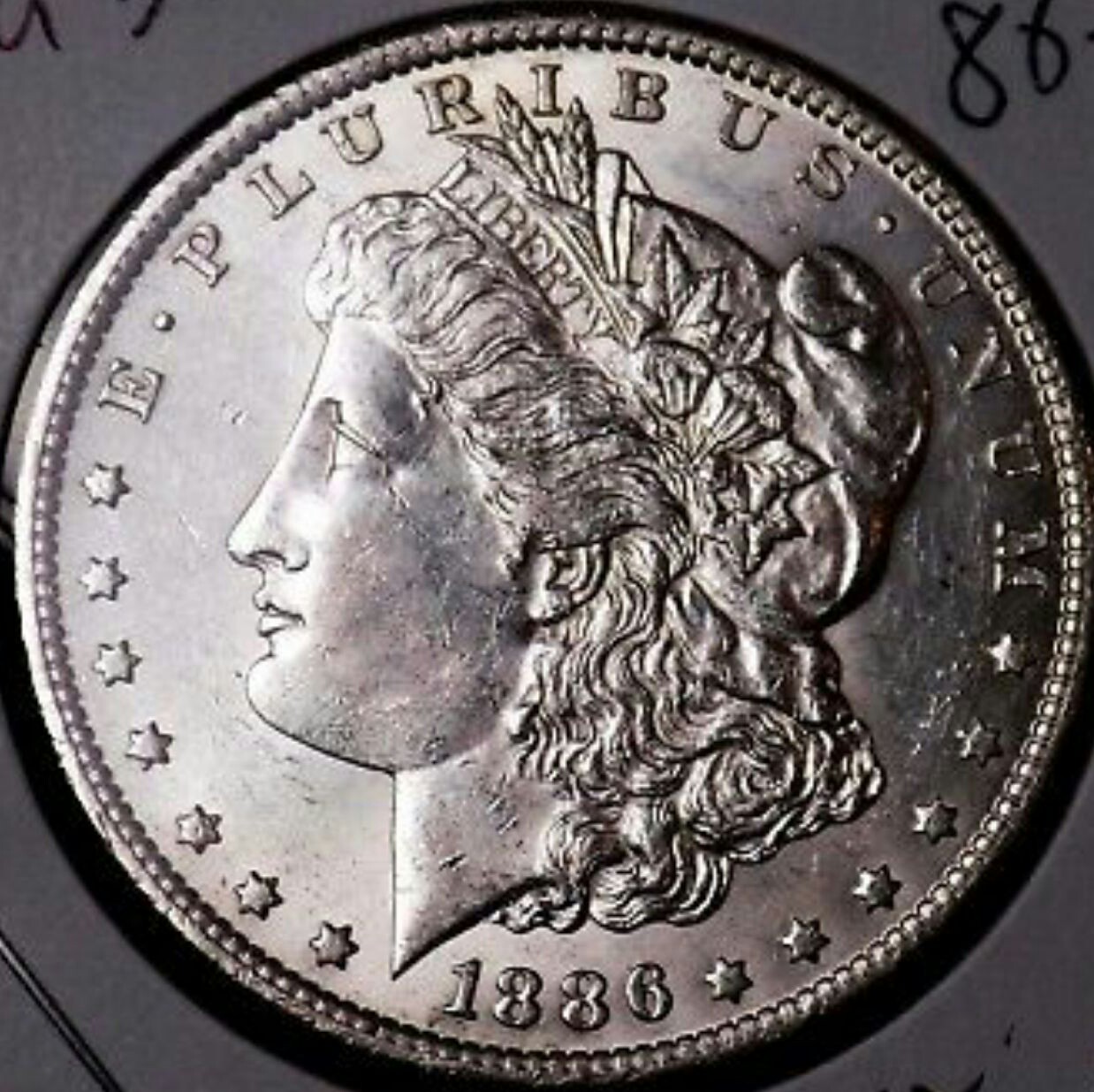 Morgan-Dollar-#2-Grade-Please