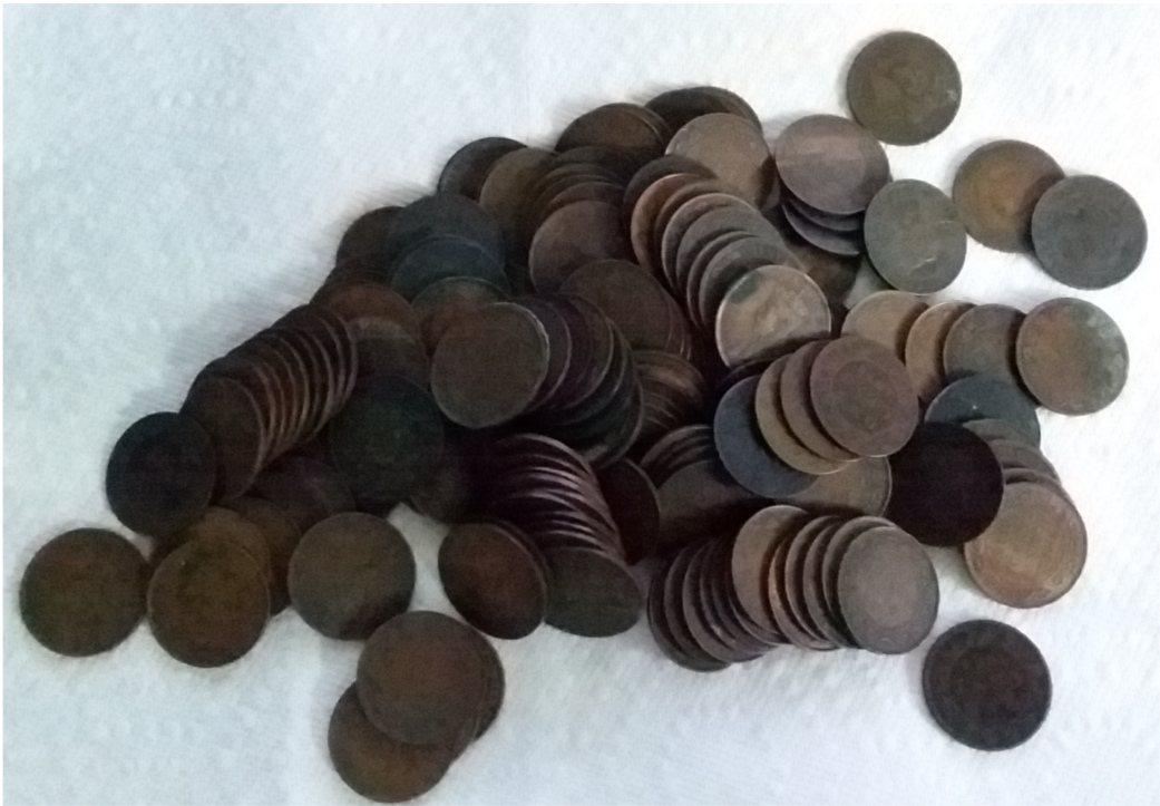 I-Bought-All-The-Large-Cents-The-Coin-Shop-Had.