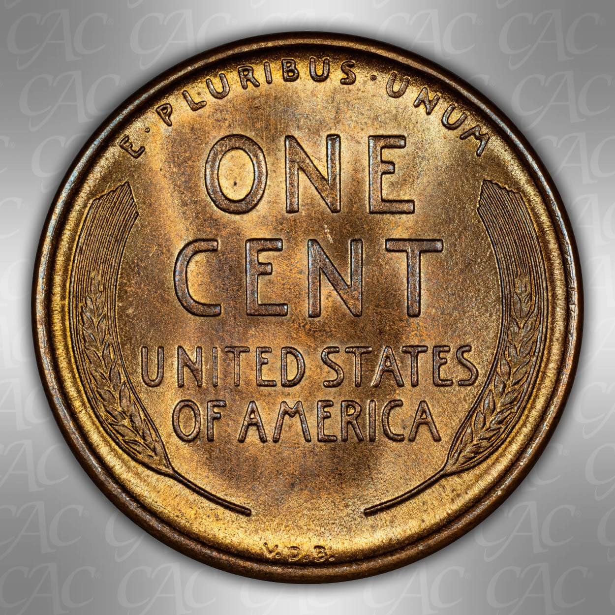1909-S-VDB-You-Vs.-CACG