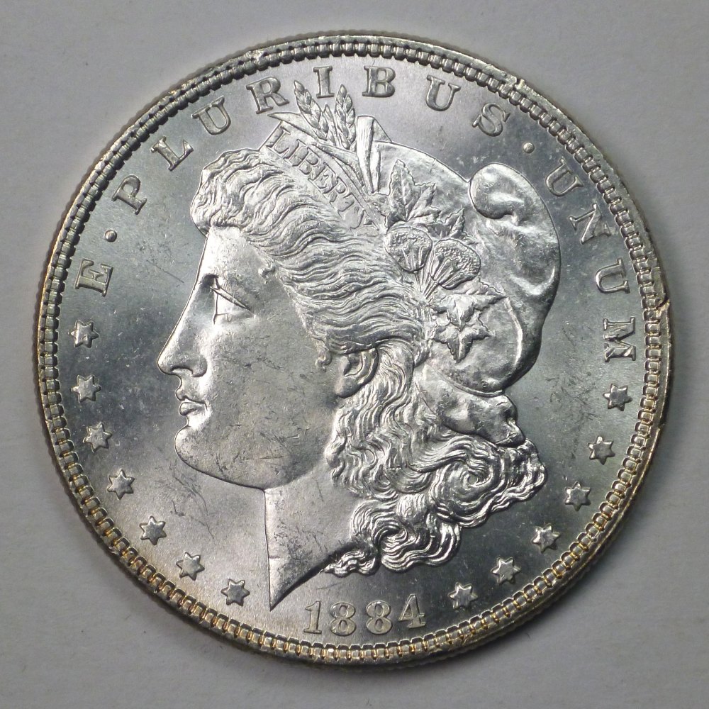 My-Complete-Dansco-7178/7179-Morgan-Dollar-Date-And-Mint-Mark-Set-Goal.