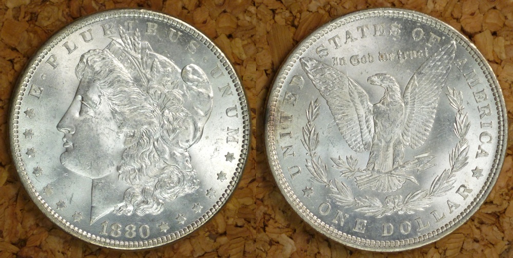 My-Complete-Dansco-7178/7179-Morgan-Dollar-Date-And-Mint-Mark-Set-Goal.