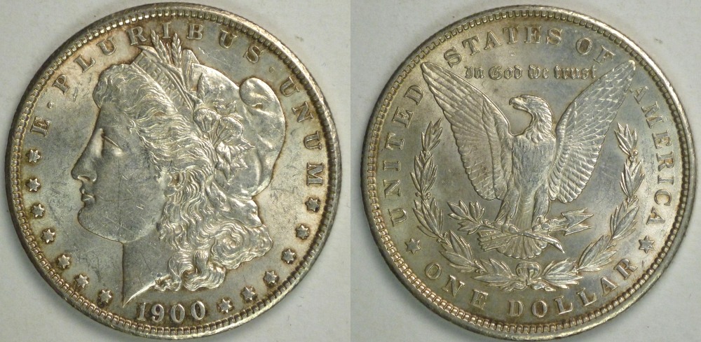 My-Complete-Dansco-7178/7179-Morgan-Dollar-Date-And-Mint-Mark-Set-Goal.
