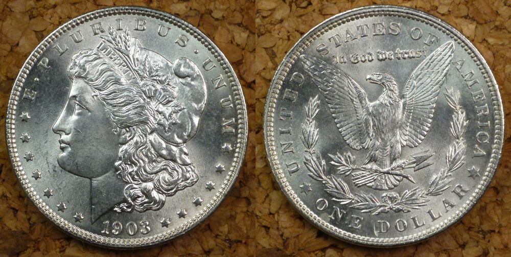 My-Complete-Dansco-7178/7179-Morgan-Dollar-Date-And-Mint-Mark-Set-Goal.