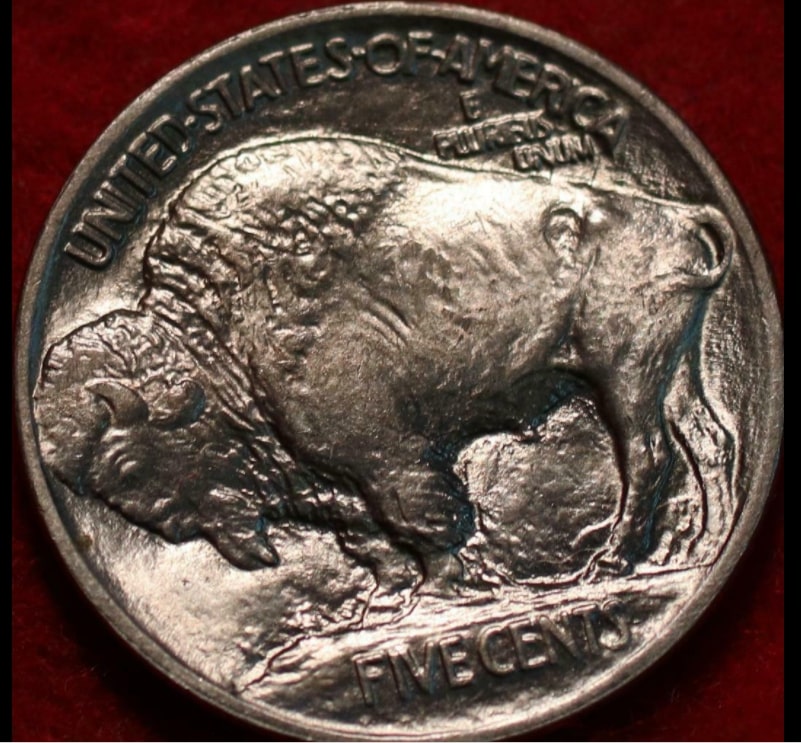 1913-Buffalo-Type-I-For-Grading
