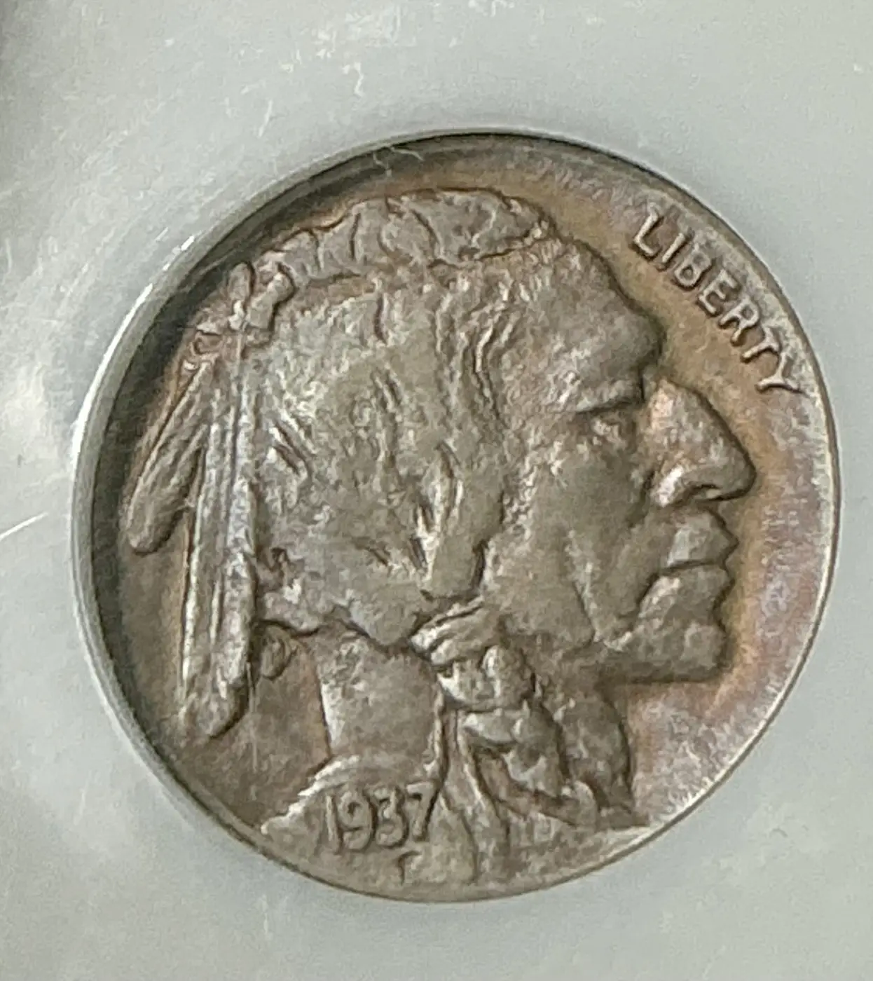 Opinions-On-This-37d,-3-Leg-Buffalo