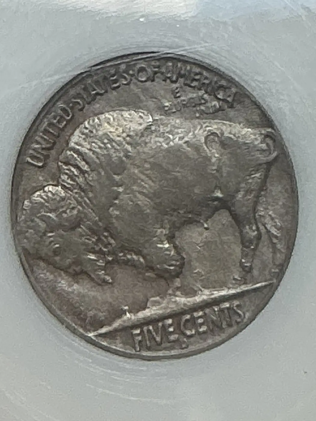 Opinions-On-This-37d,-3-Leg-Buffalo