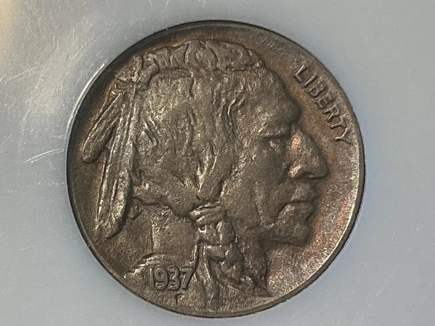 Opinions-On-This-37d,-3-Leg-Buffalo