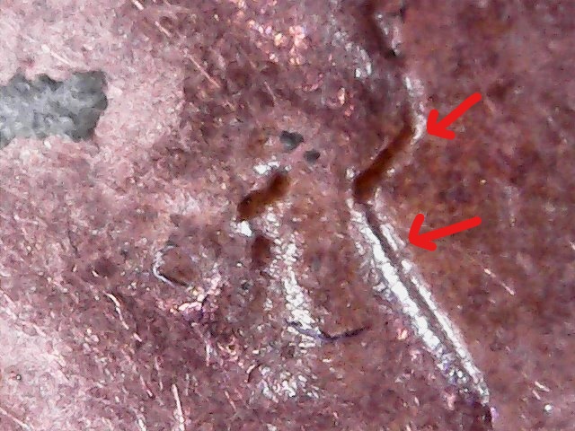 One-Cent-1956-Possible-Doubling?