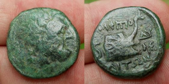 Do-Any-Roman-Coins-Feature-A-Giraffe?