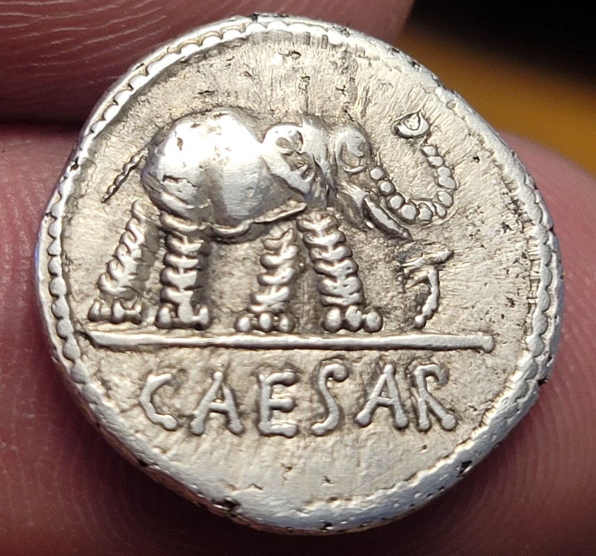 Julius-Caesar-Elephant-49Bc