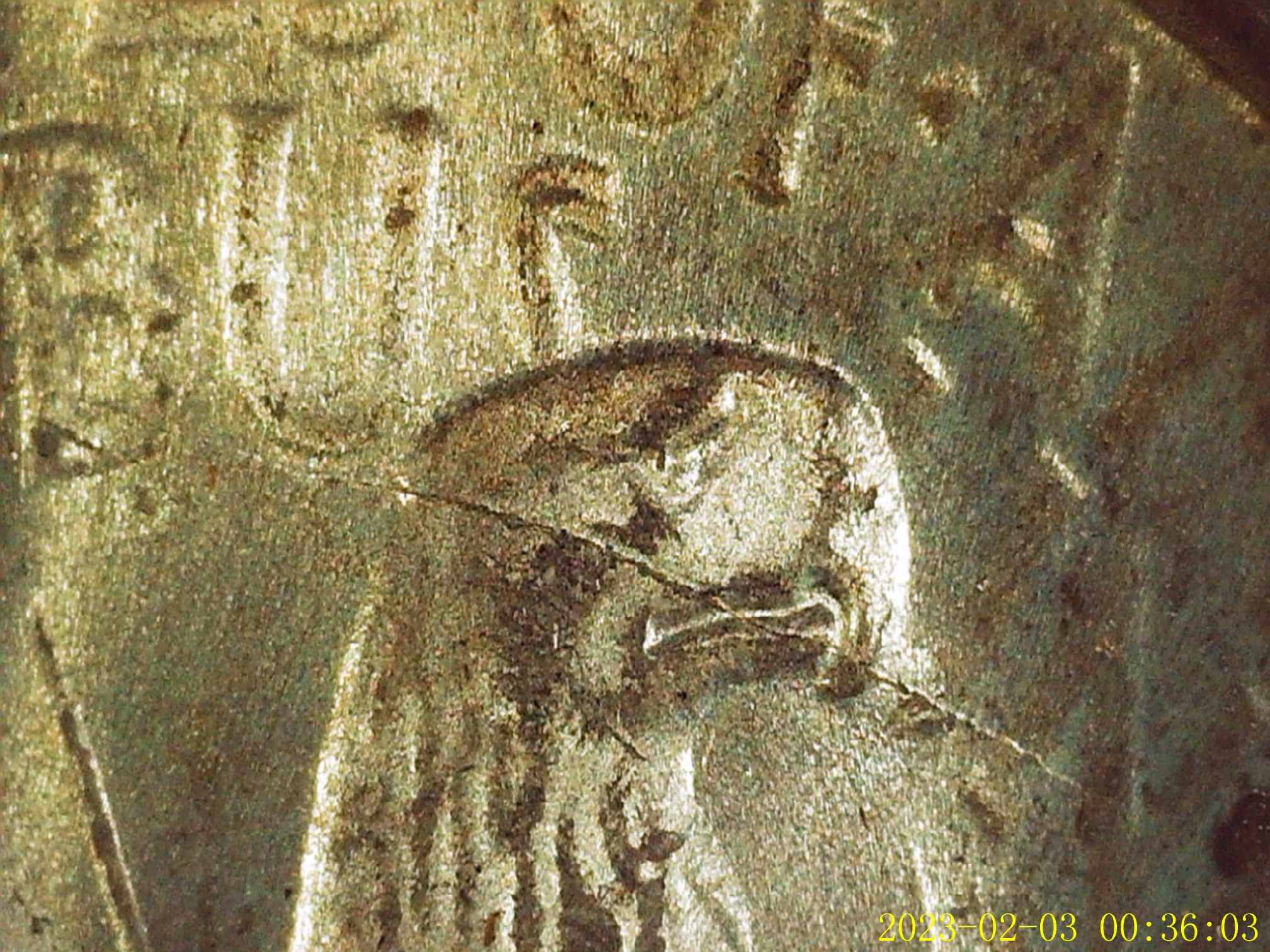 1922-Peace-Dollar---Unrecognized-Dye-Scratch?