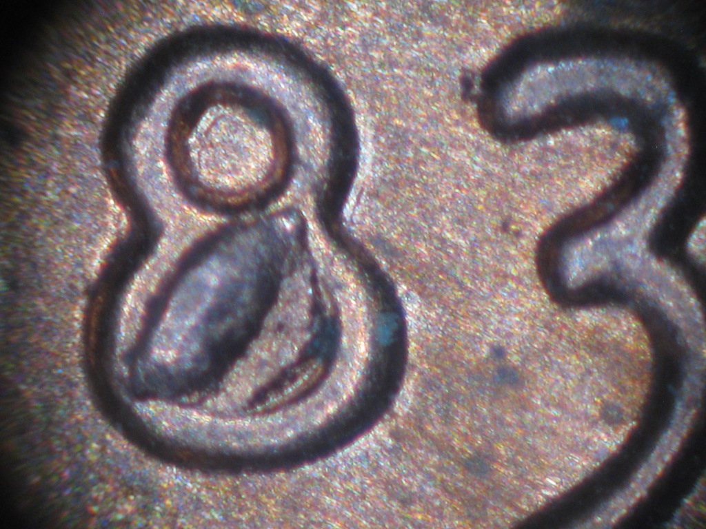 2020-D-Lincoln-Penny-Something-On-The-Reverse-That-Looked-Strange-.
