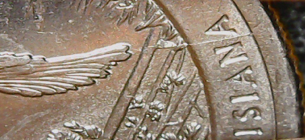 Scared-Me!-My-2015-Louisiana-Turkey-Quarter