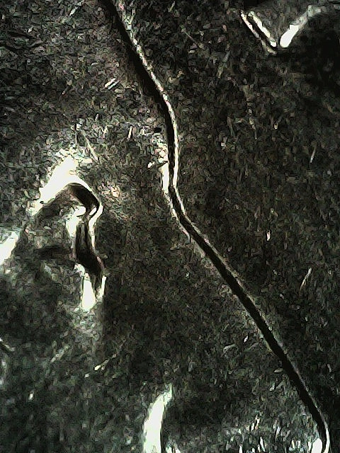 2023-P-Quarter-Doubled-Eyelid