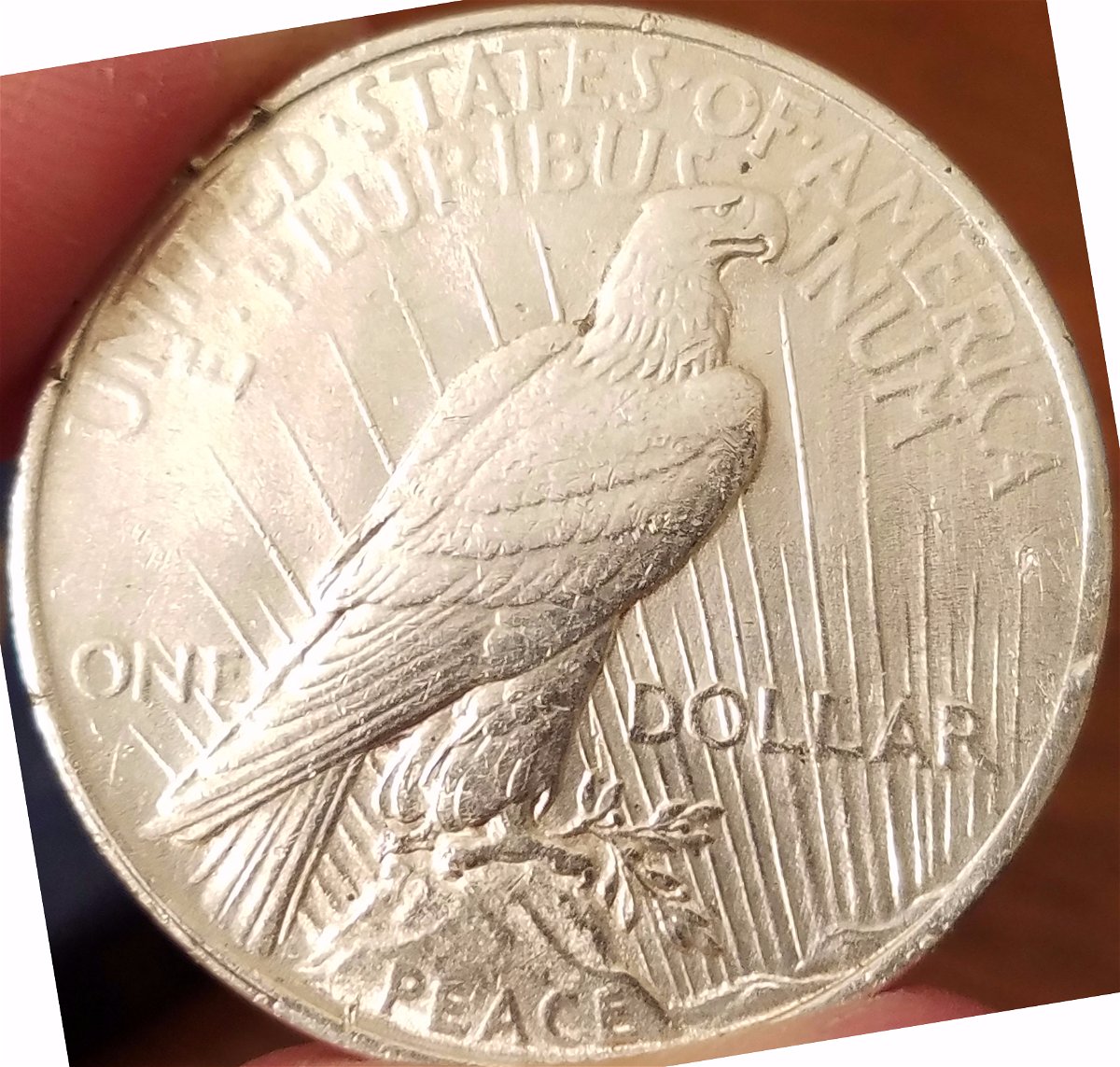 1923-Peace-Dollar-For-Grading
