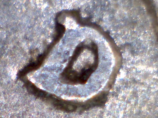 Is-It-The-Elusive-42/41-D-Mercury-Dime?