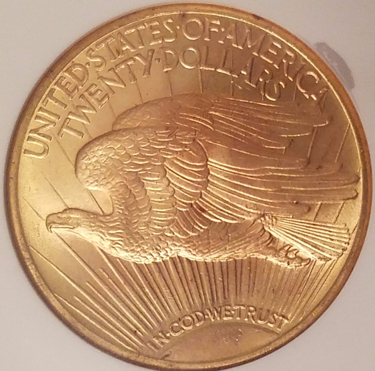 You-Vs.-NGC---1923-D-St.-Gaudens-Double-Eagle