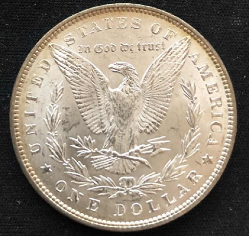 1897-Morgan-Dollar-For-Grading